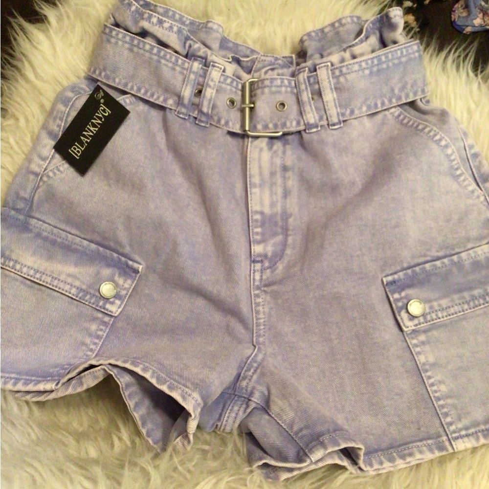 Rare Blank NYC paper bag grapeaid shorts